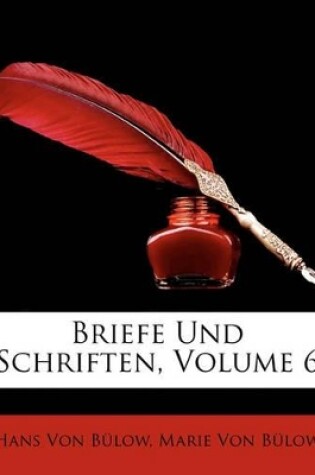 Cover of Briefe Und Schriften, Volume 6