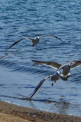 Cover of Seagulls at the Seaside Notebook