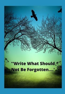 Book cover for Write What Should Not Be Forgotten