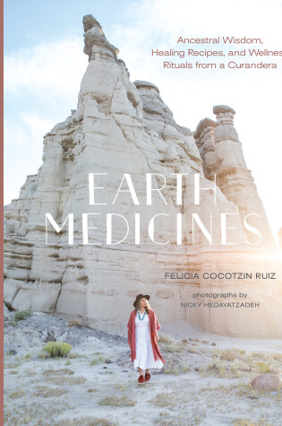 Cover of Earth Medicines