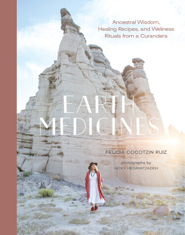 Book cover for Earth Medicines