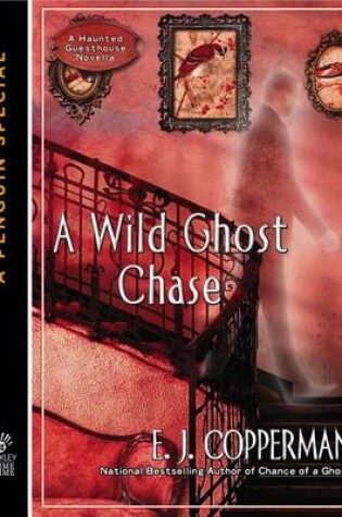 Cover of A Wild Ghost Chase