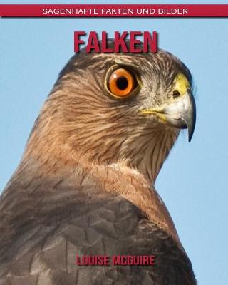 Book cover for Falken