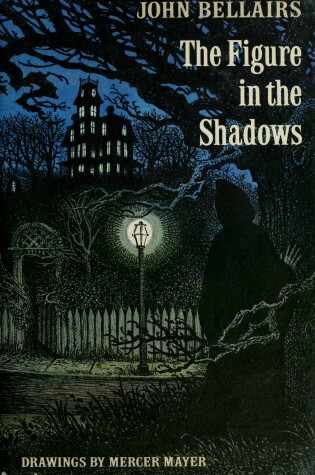 Cover of The Figure in the Shadows