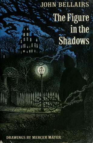 Book cover for The Figure in the Shadows