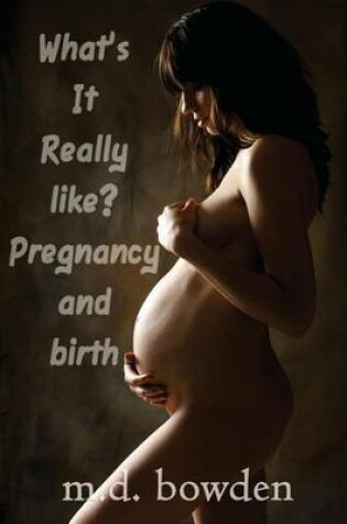 Cover of What's It Really Like? Pregnancy & Birth
