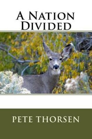 Cover of A Nation Divided