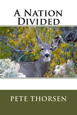 Book cover for A Nation Divided