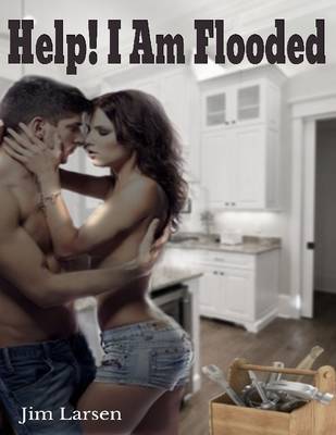 Book cover for Help! I Am Flooded