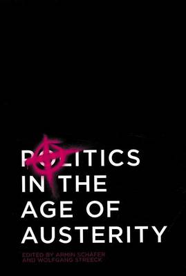 Book cover for Politics in the Age of Austerity