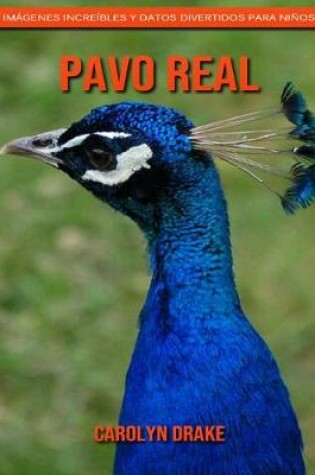 Cover of Pavo real
