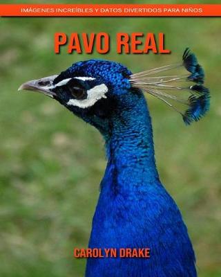 Book cover for Pavo real