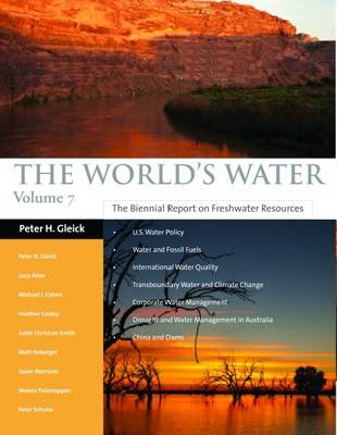 Book cover for The World's Water 1998-1999