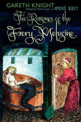 Book cover for The Romance of the Faery Melusine