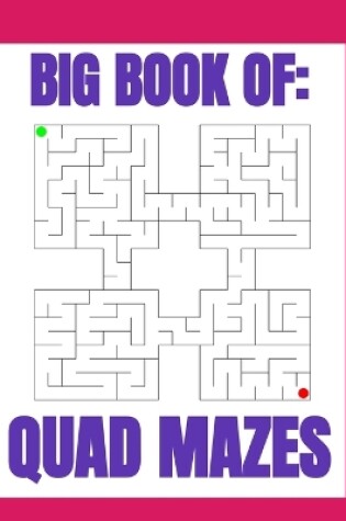 Cover of Big Book of Quad Mazes