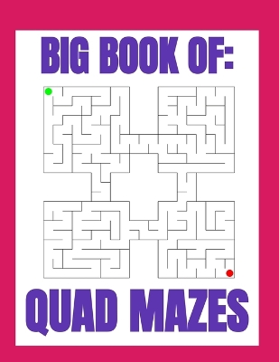 Book cover for Big Book of Quad Mazes