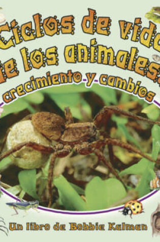 Cover of Ciclos de Vida de Los Animales