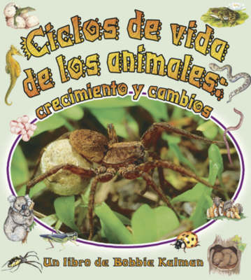 Book cover for Ciclos de Vida de Los Animales