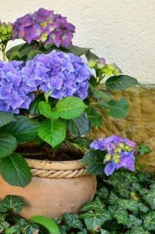 Cover of Hydrangeas in a Flower Pot and Ivy Journal