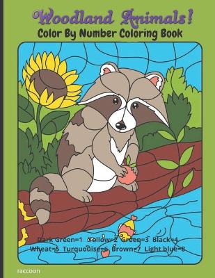 Book cover for Woodland Animals! Color By Number Coloring Book