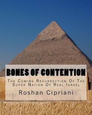 Book cover for Bones Of Contention