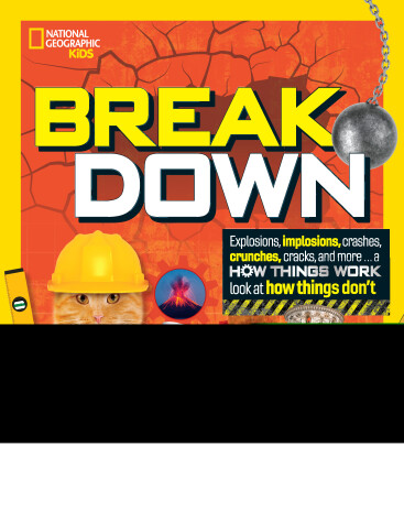 Cover of Break Down