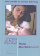 Book cover for Everything Yntka Teem Motherho