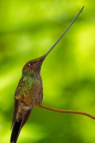 Cover of Sword-Billed Hummingbird Journal