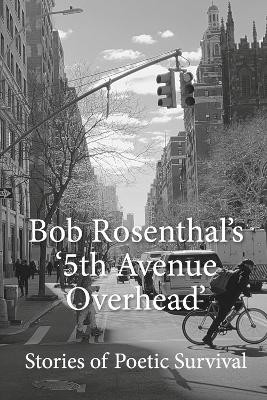 Book cover for 5th Avenue Overhead