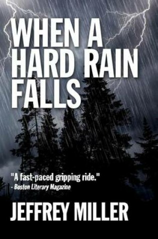 Cover of When A Hard Rain Falls