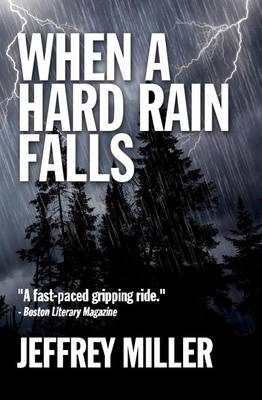 Book cover for When A Hard Rain Falls