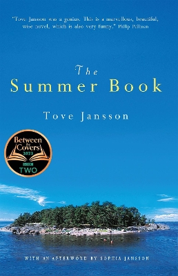 Book cover for The Summer Book