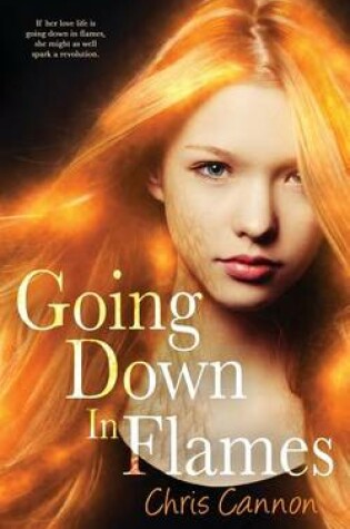 Cover of Going Down in Flames (a Going Down in Flames Novel)