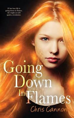 Book cover for Going Down in Flames (a Going Down in Flames Novel)