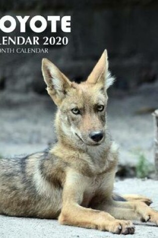 Cover of Coyote Calendar 2020