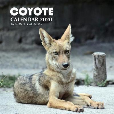 Book cover for Coyote Calendar 2020