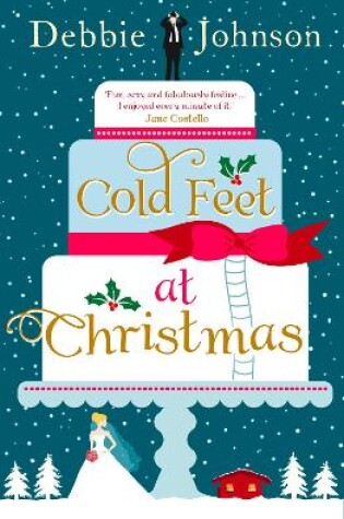 Cover of Cold Feet at Christmas