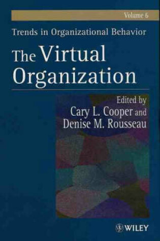 Cover of The Virtual Organization