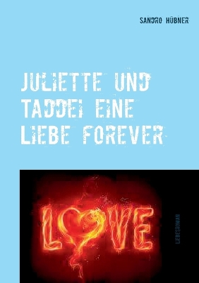 Book cover for Juliette und Taddei eine Liebe forever