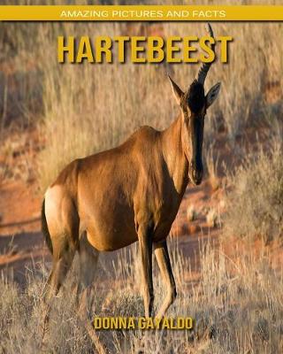 Book cover for Hartebeest