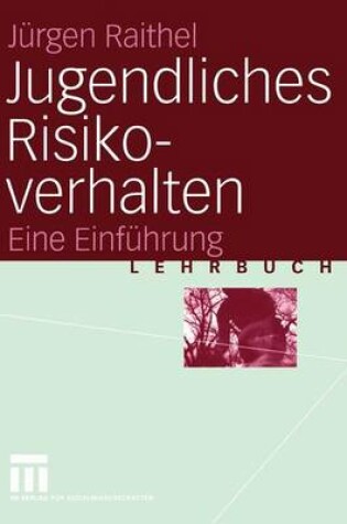Cover of Jugendliches Risikoverhalten
