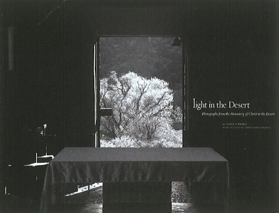 Book cover for Light in the Desert