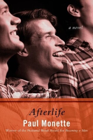 Cover of Afterlife