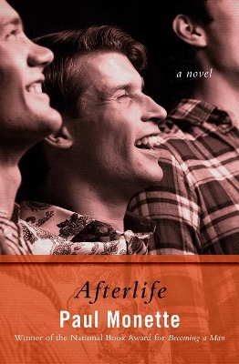 Book cover for Afterlife