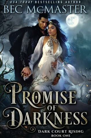 Cover of Promise of Darkness