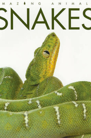 Cover of Snakes