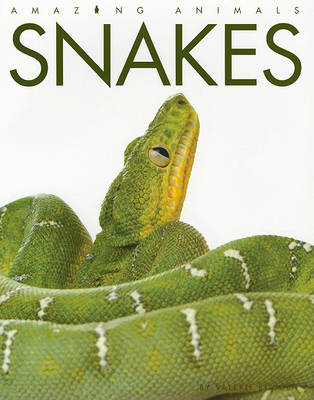 Cover of Snakes