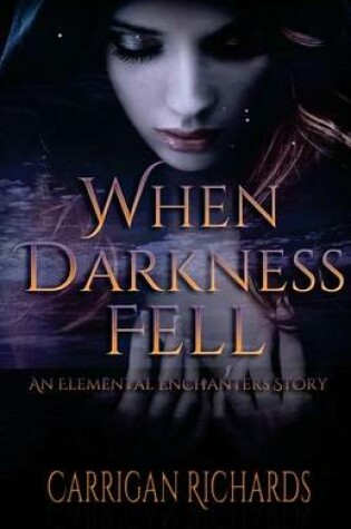 Cover of When Darkness Fell