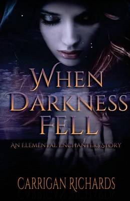 Book cover for When Darkness Fell