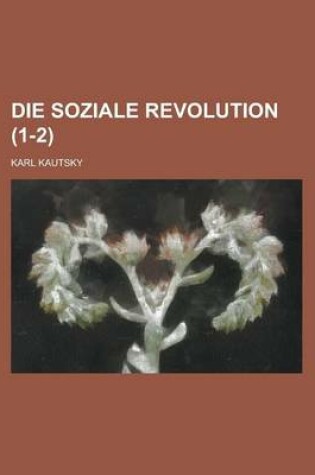 Cover of Die Soziale Revolution (1-2)